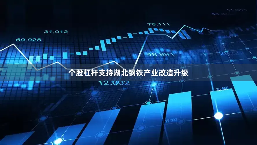 个股杠杆支持湖北钢铁产业改造升级